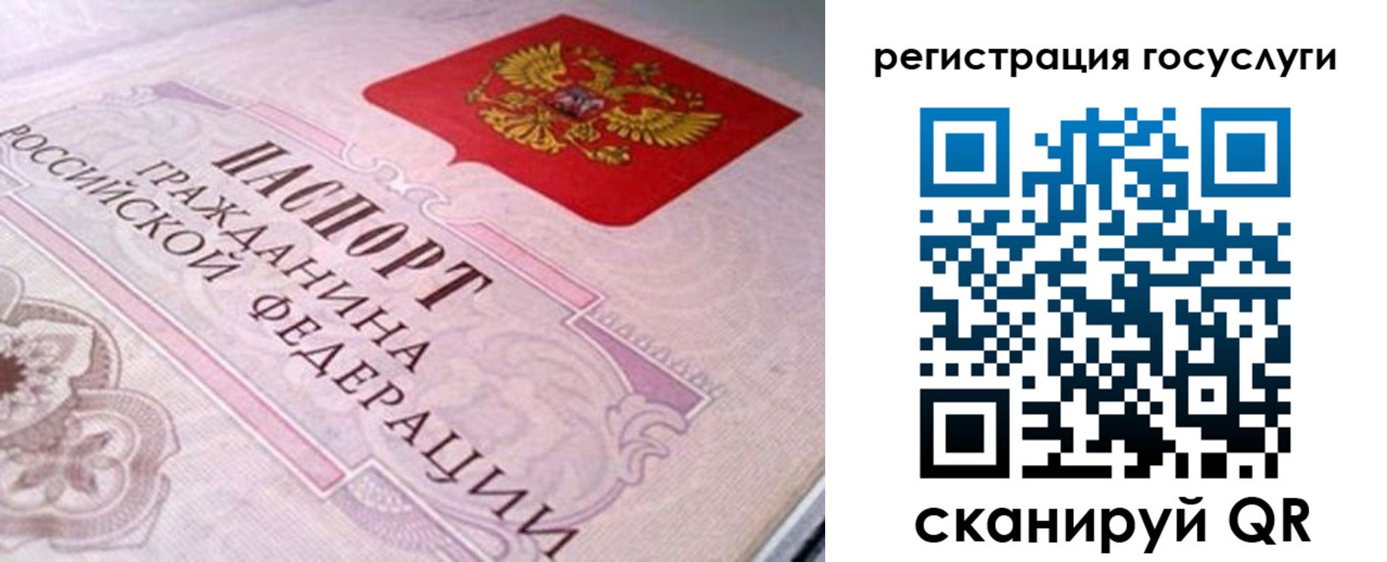 где прописаться в Нелидово